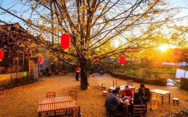 首期研學(xué)旅行指導(dǎo)師職業(yè)能力等級(jí)評(píng)價(jià)實(shí)訓(xùn)班