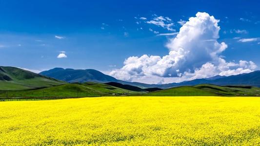 騰沖公司組織一線職工參加療休養(yǎng)活動