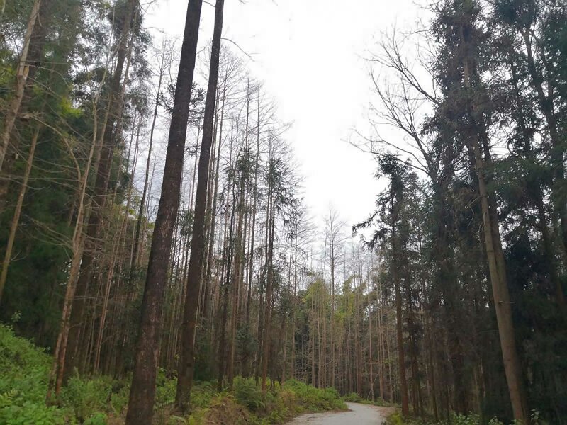 騰沖戶外徒步拓展訓(xùn)練場地推薦--玉璧古道