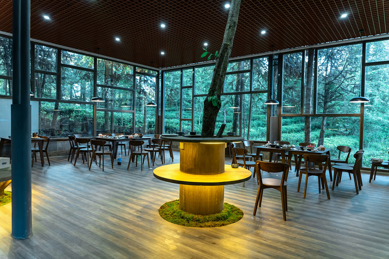 騰沖大地茶園拓展訓練基地