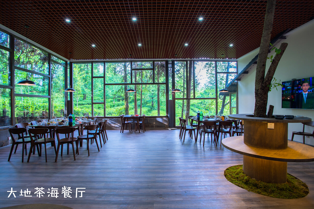 騰沖大地茶園拓展訓練基地 騰沖大地茶園拓展訓練基地