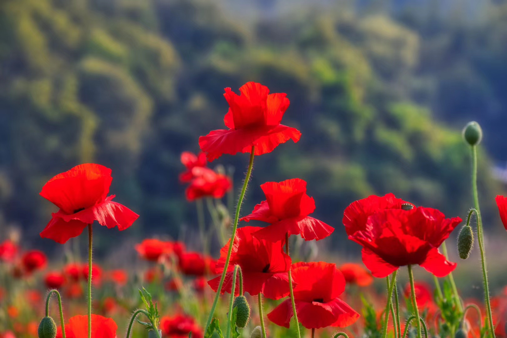 騰沖龍川江漂流拓展項(xiàng)目