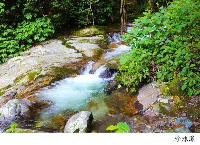 騰沖高黎貢山徒步之五道溪徒步