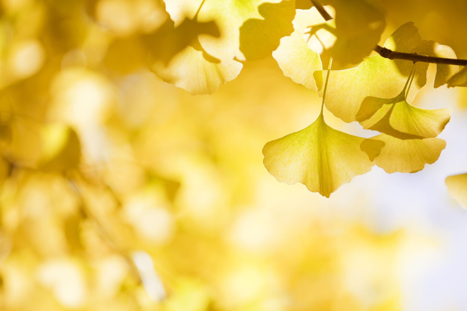 云南騰沖旅游景點推薦，騰沖旅游必去的五個景點，騰沖好玩的地方推薦