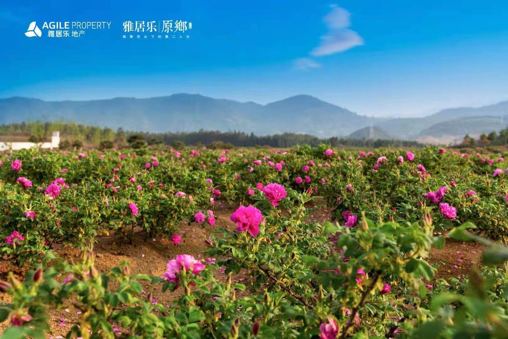 騰沖雅居樂(lè)原鄉(xiāng)棲花嶺景區(qū) 騰沖雅居樂(lè)原鄉(xiāng)棲花嶺景區(qū)