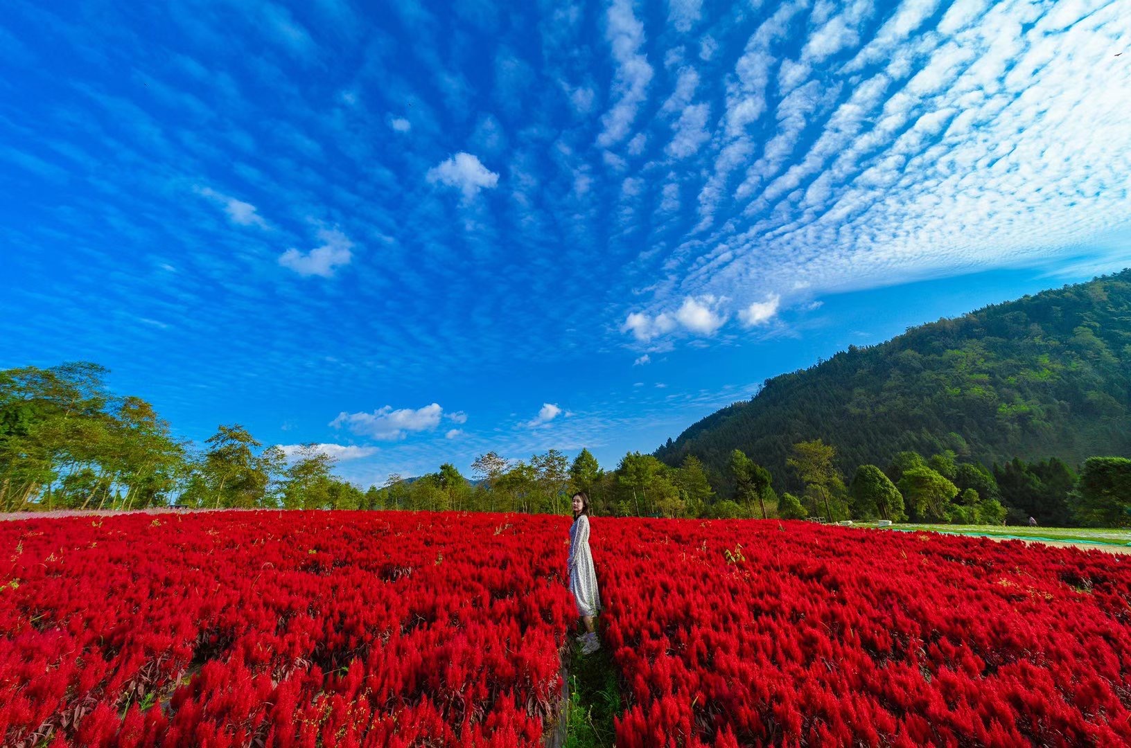 騰沖歸云莊戶外拓展基地