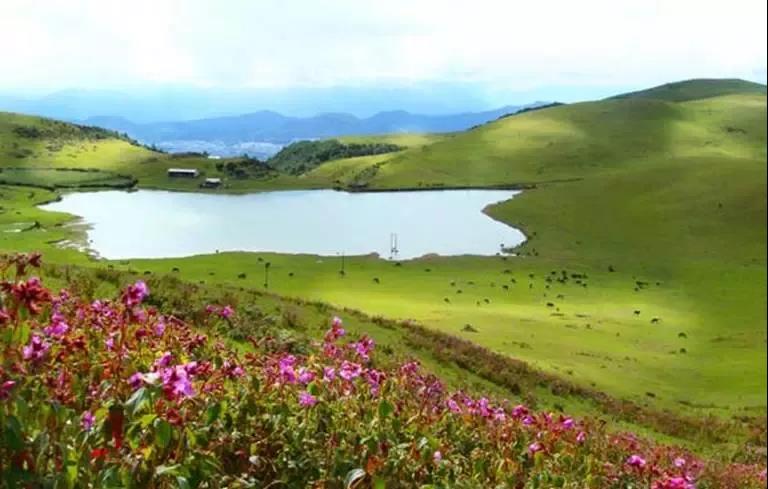 騰沖的歷史印記——天上草原、玉壁古道，戶外徒步旅行