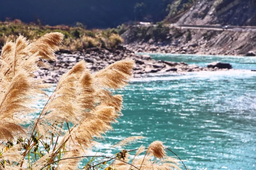 騰沖旅游包車(chē)