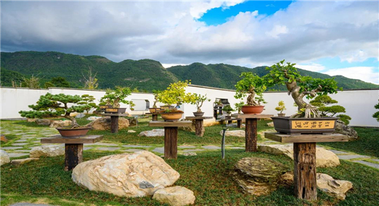 騰沖旅游景點(diǎn)