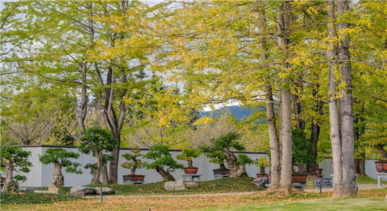 騰沖旅游景點(diǎn)