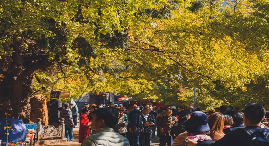 騰沖旅游 騰沖旅游