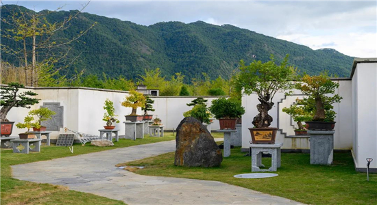 騰沖旅游 騰沖旅游