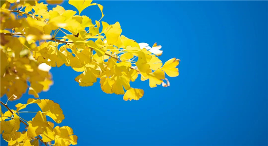 騰沖戶外拓展項目推薦：60個拓展訓練游戲集錦（下）