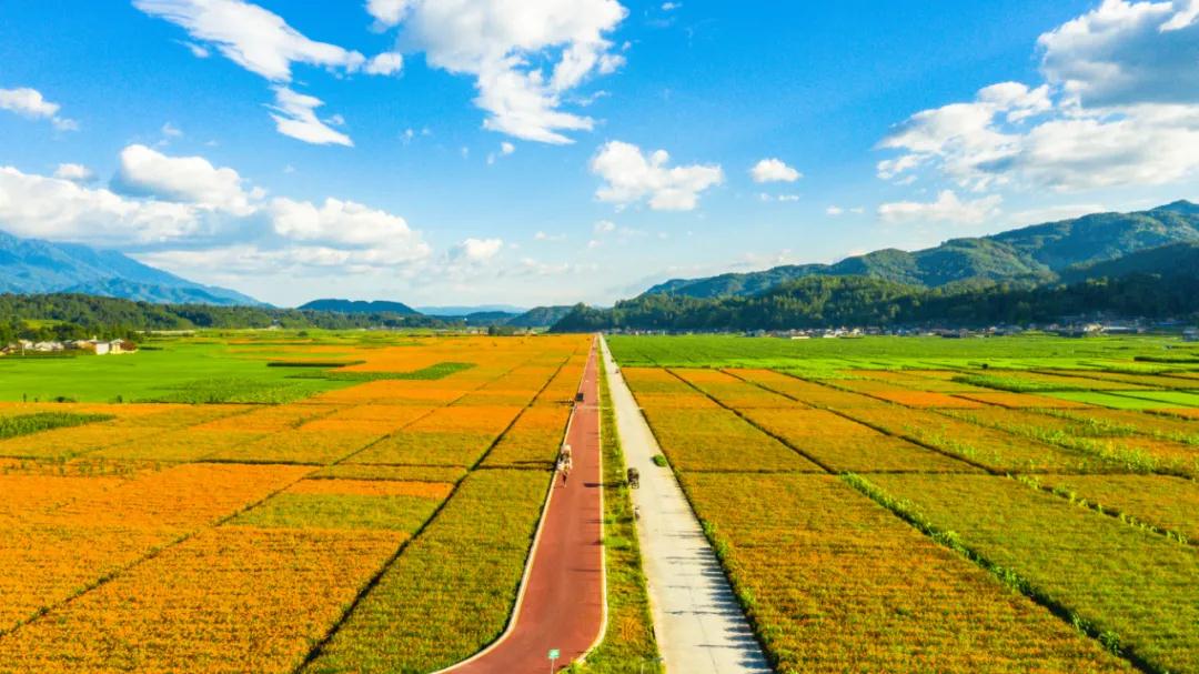 騰沖資訊：來騰沖賞花海之路，玉璧古路，馬幫之路，世界之路，抗戰(zhàn)之路。