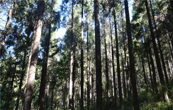 騰沖景區(qū)景點