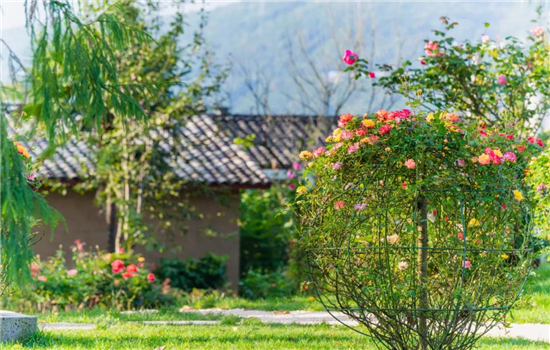 騰沖旅游 騰沖旅游