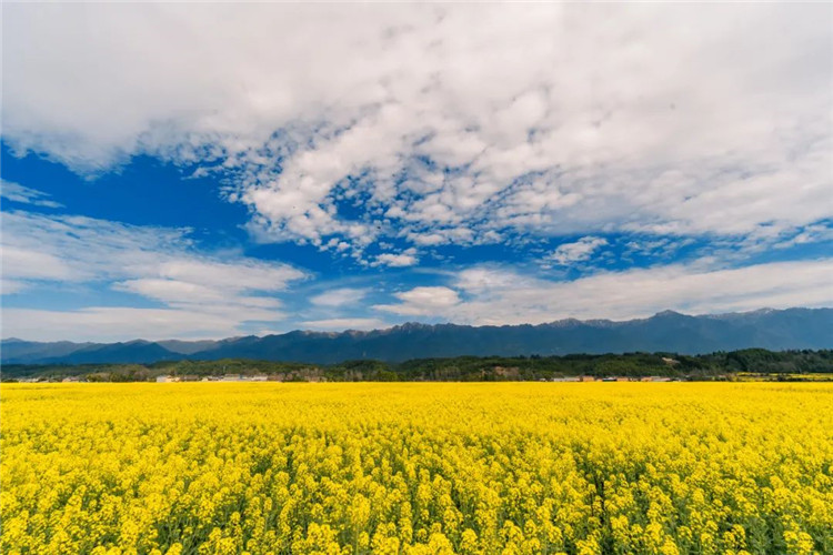 騰沖景區(qū)景點(diǎn)