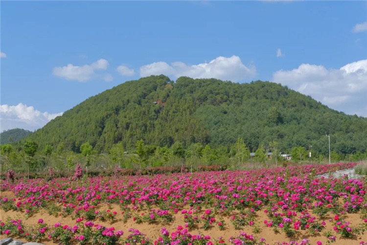 騰沖旅游 騰沖旅游