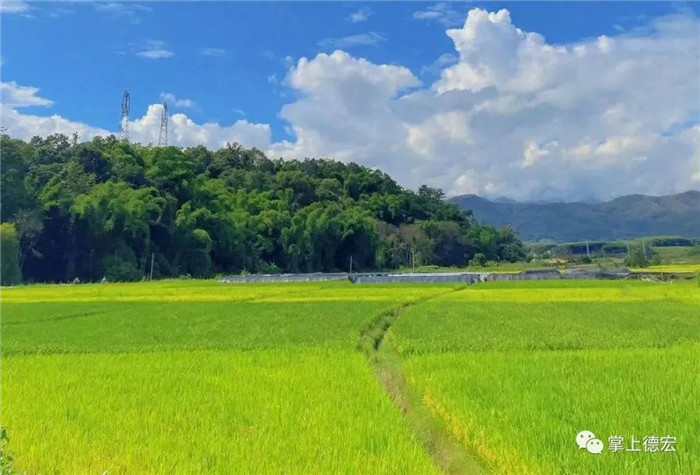 云南定制旅游 云南定制旅游