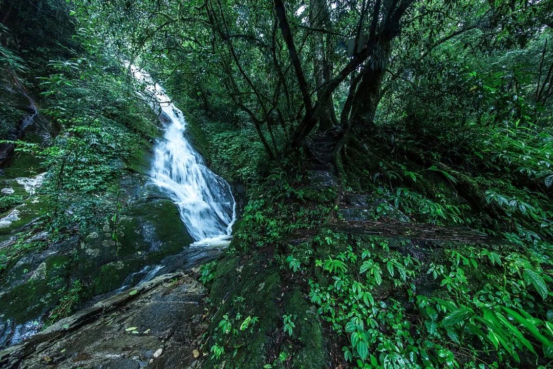 騰沖旅行社徒步 騰沖旅行社徒步