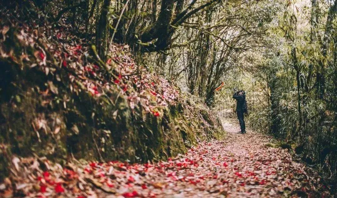 騰沖旅行團(tuán),騰沖策劃公司,騰沖拓展公司：走進(jìn)秋色高黎貢