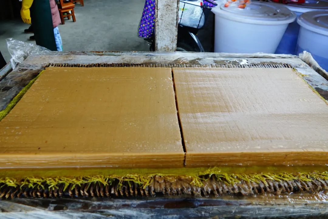 手工抄紙才有生命 手工抄紙才有生命